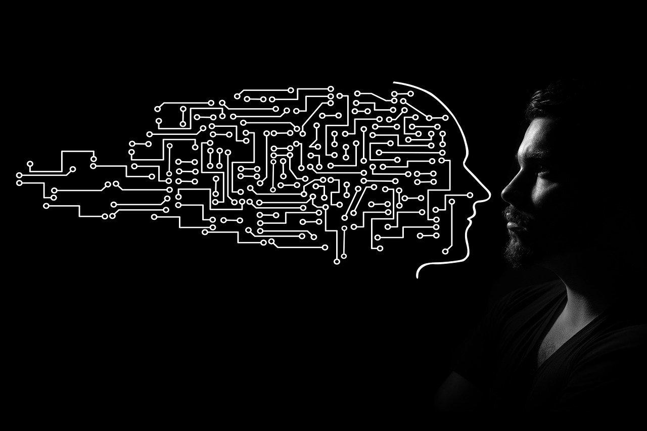 Man circuits. Image by <a href="https://pixabay.com/users/geralt-9301/?utm_source=link-attribution&utm_medium=referral&utm_campaign=image&utm_content=5899201">Gerd Altmann</a> from <a href="https://pixabay.com//?utm_source=link-attribution&utm_medium=referral&utm_campaign=image&utm_content=5899201">Pixabay</a>